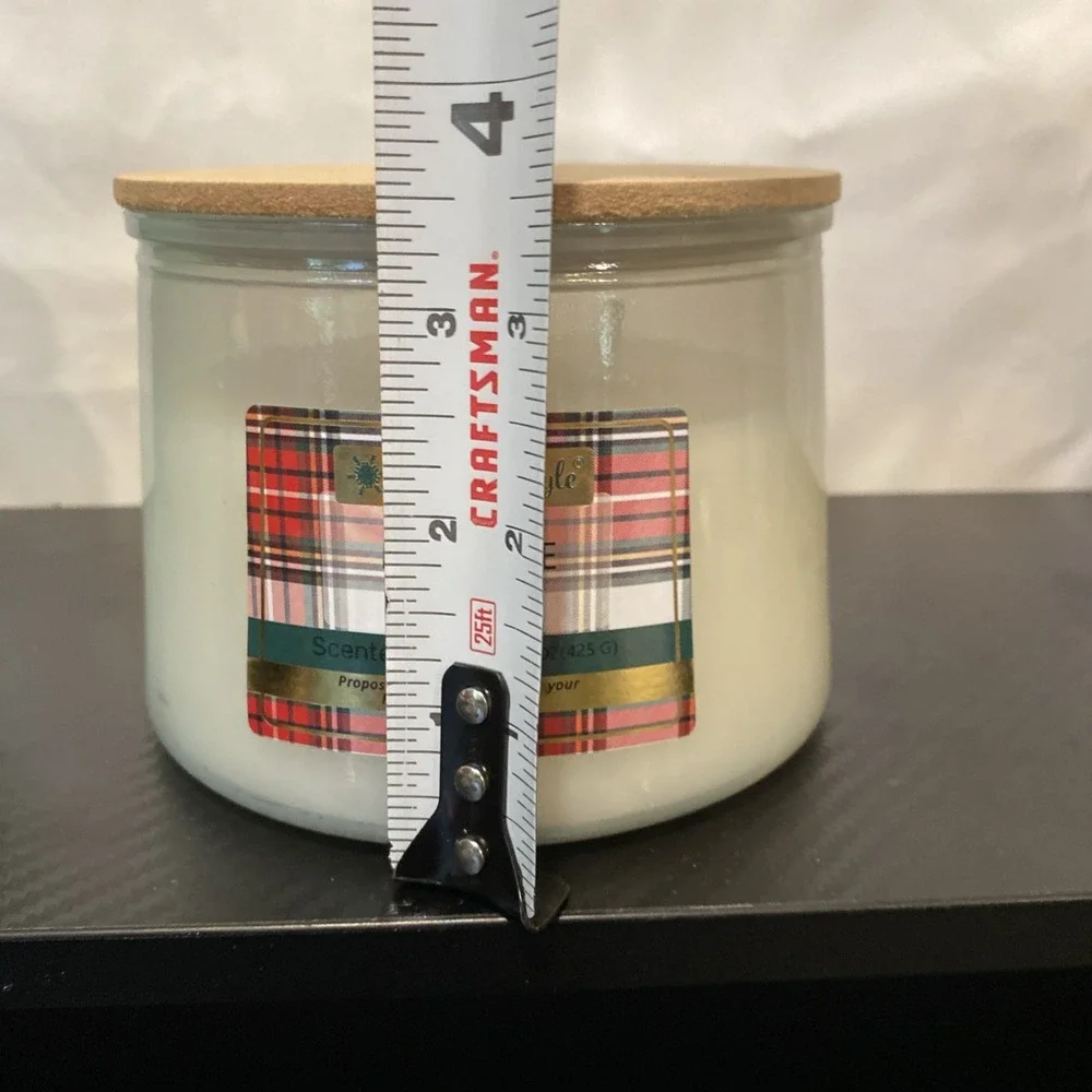 Holiday Style Mistletoe & Holly Scented Candle 15oz‎ 3 Wick